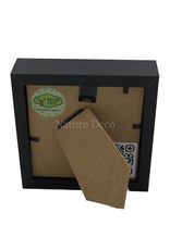 Nature Deco Apis dorsata ( reuze honingbij ) in luxe 3d lijst 12 x 12 cm