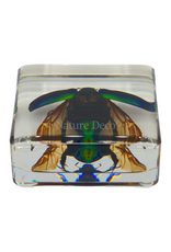 . Colorful scarab open wings in resin