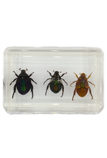 . Kever trio in hars 4,5 x 3 x 1,5 cm
