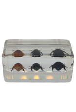 . Kever trio in hars 4,5 x 3 x 1,5 cm