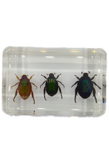 . Kever trio in hars 4,5 x 3 x 1,5 cm