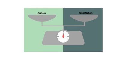 Protein & Feuchtigkeits- Balance