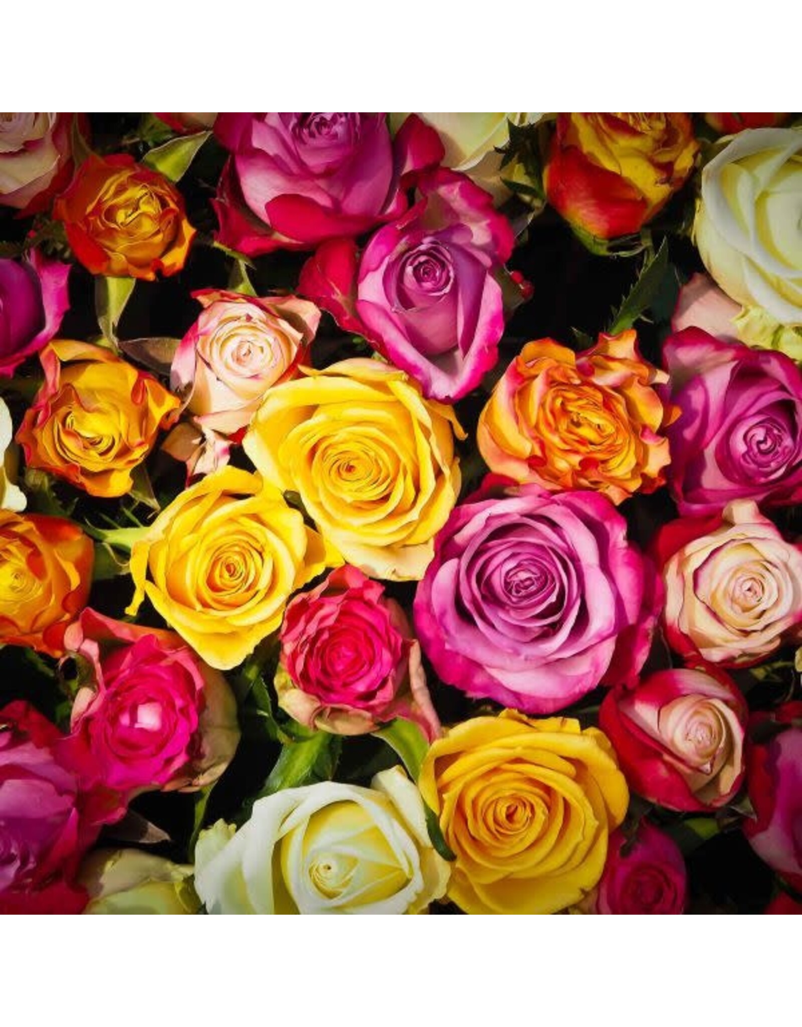 Sock my Feet Sok Bouquet