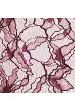 Sock my Feet Sok Lace