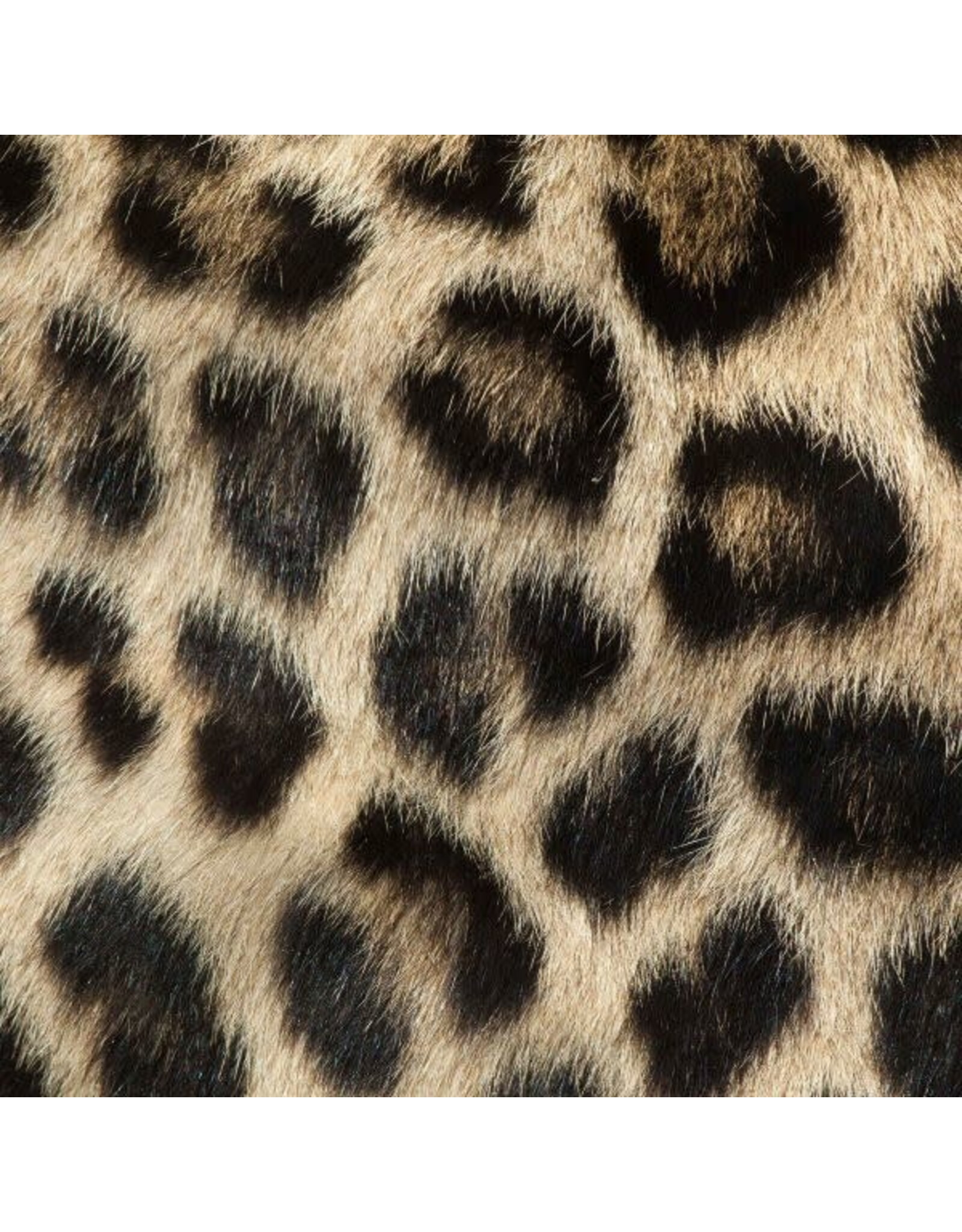 Sock my Feet Sok Leopard