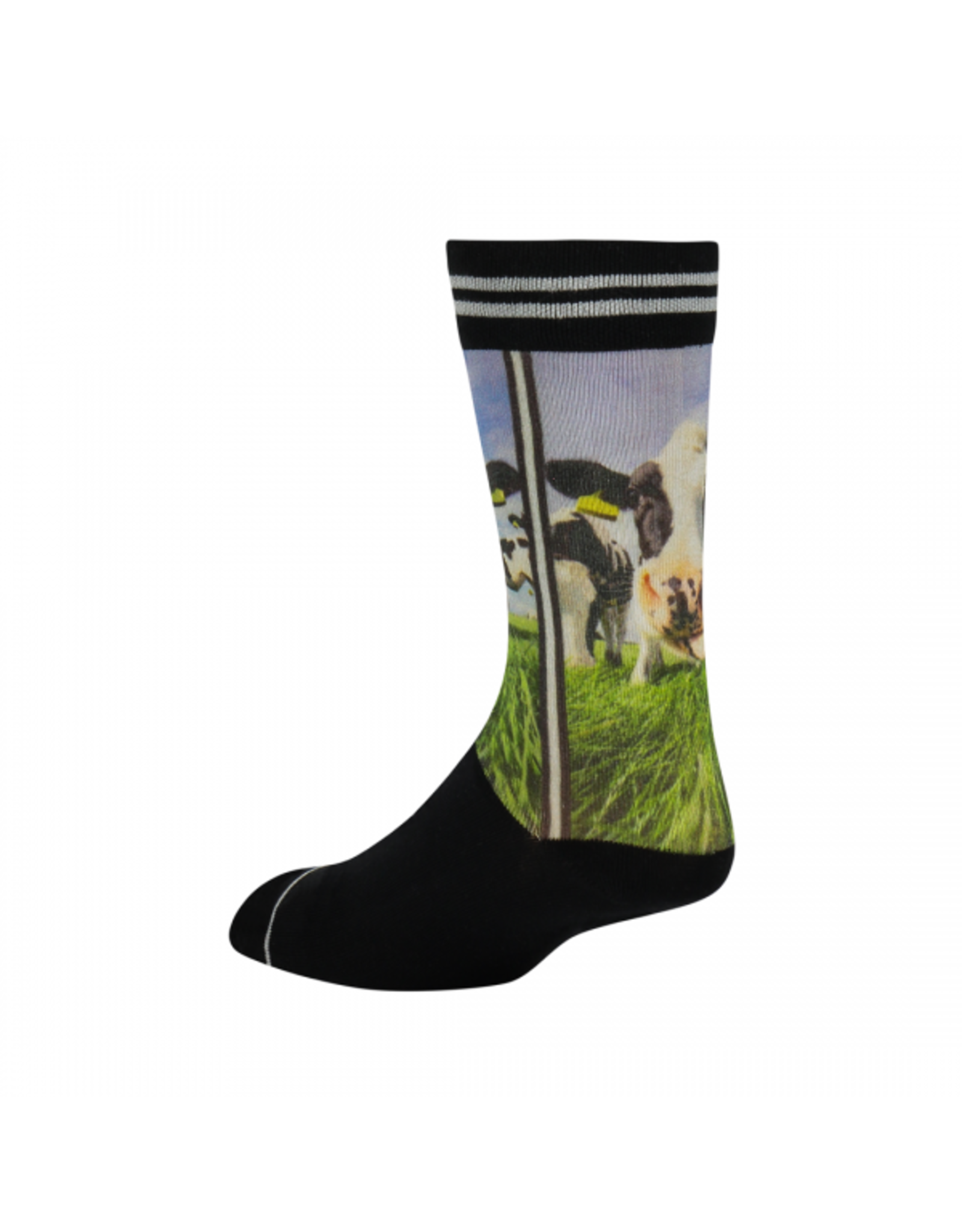 Sock my Feet Sok licking nose