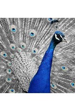 Sock my Feet Sok Peakock