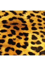 Sock my Feet Sok Tiger