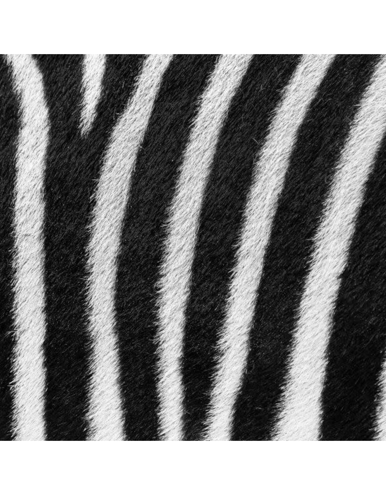 Sock my Feet Sok Zebra
