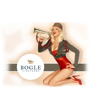 Bogle Discover Box  | Bogle