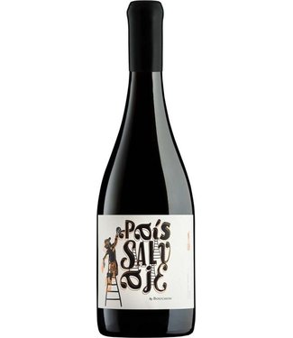 Bouchon Family Wines Pais Salvaje Tinto