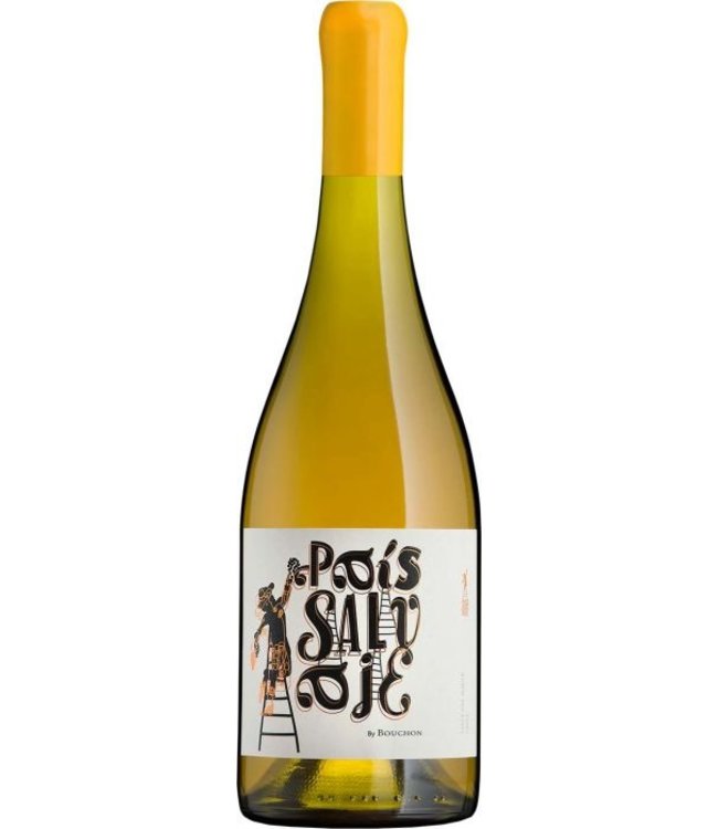 Bouchon Family Wines Bouchon Family Wines Pais Salvaje Blanco