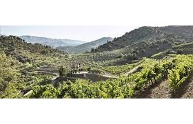 Costers del Priorat