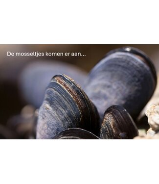 Mossels