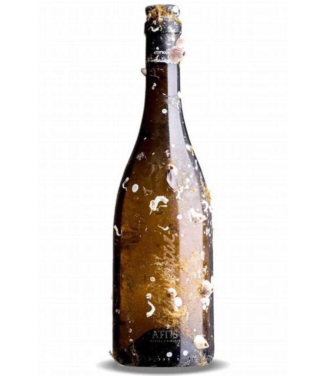 Bodegas Attis Mar 2021