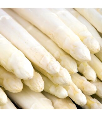 Asperges