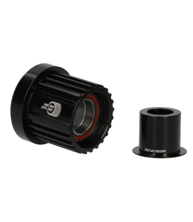 DT Swiss 240s / 350 Ratchet Body Freehub