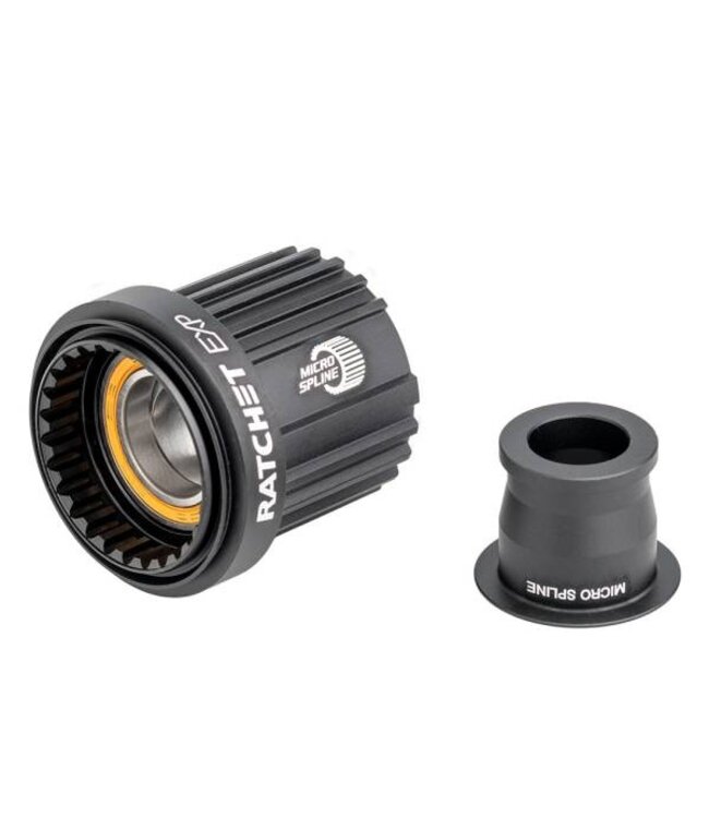 DT Swiss 240s / 350 Ratchet Body Freehub