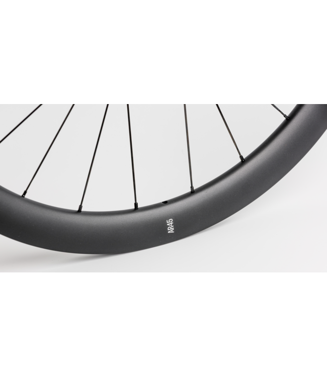 ZEAL AR45 DT Swiss 350 Carbon Wielset