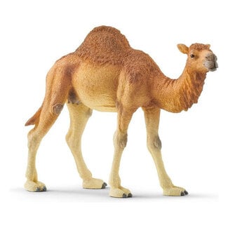 Schleich Dromedaris (14832)