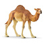 Schleich Dromedaris (14832)