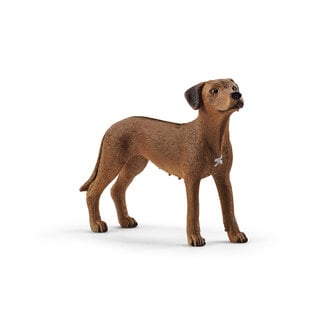 Schleich Hond Rhodesian Ridgeback (13895)