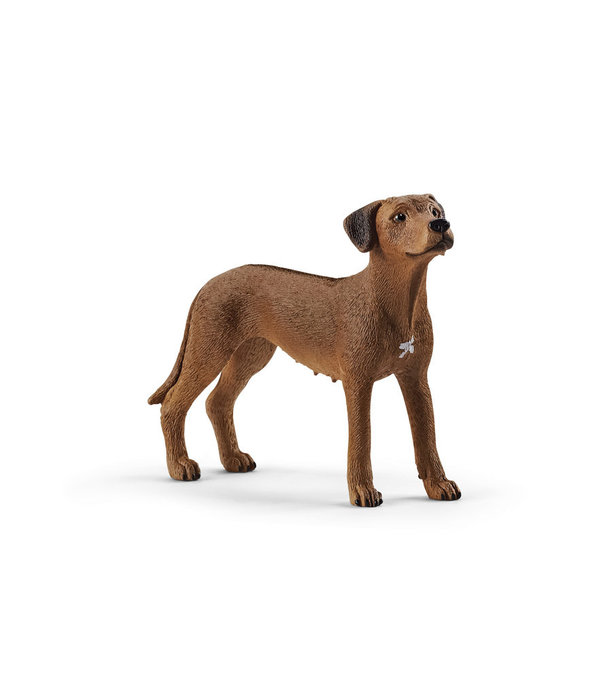 Schleich Schleich - Hond Rhodesian Ridgeback (13895)