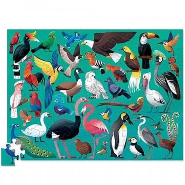 Crocodile Creek Puzzel - 36 Beautiful Birds (100-delig) | 5+