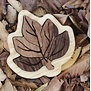 EXIT || Oyuncak House - Houten Puzzel Blad (5-delig)