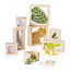 Guidecraft Treasure Blocks | 3+