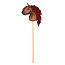 by ASTRUP Stokpaard -  Bruin