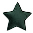 * Betty's Home - Velvet Kussen Ster - Groen (50 cm)