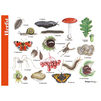 Tringa Paintings Herkenningskaart - Herfst