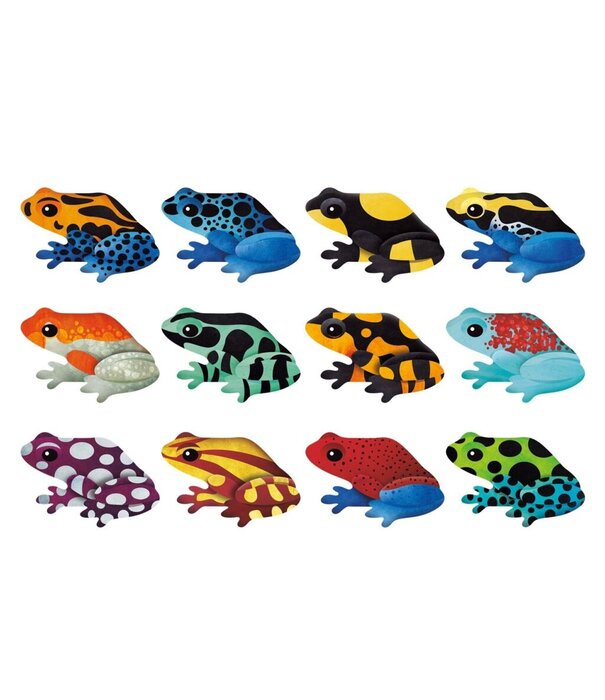Mudpuppy Mudpuppy Shaped Memory Match - Tropical Frogs (24 delig) | 3+