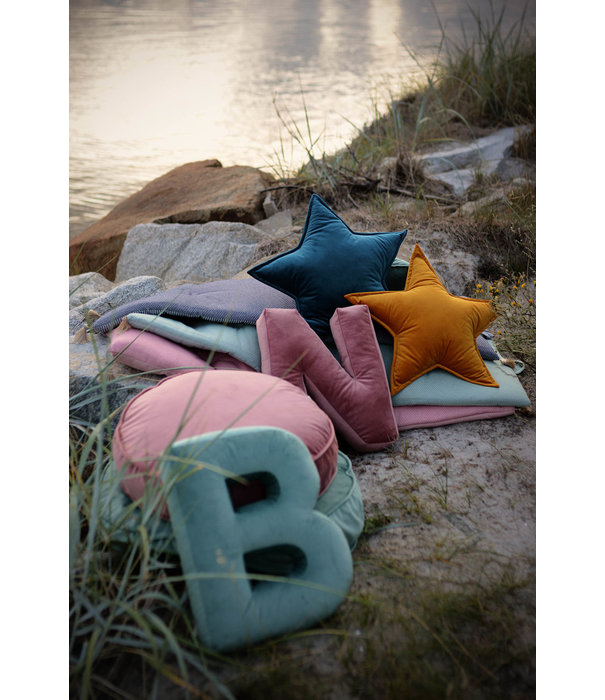 Betty's Home Betty's Home - Velvet Letter Kussen - E - Blauw