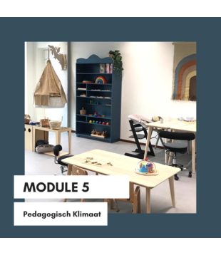 Module 1 (Kracht van Spel) & Module 5 (Pedagogisch Klimaat)