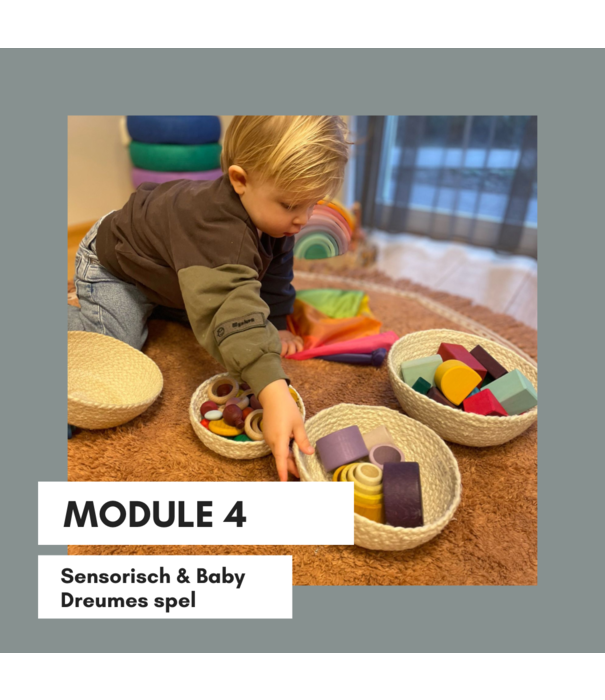 Playcademy Module 1 (Kracht van Spel) & Module 4 (Sensorisch & Baby - Dreumes Spel)