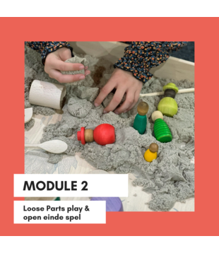 Module 1 (Kracht van Spel) & Module 2 (Loose Parts Play & Open Einde Spel)