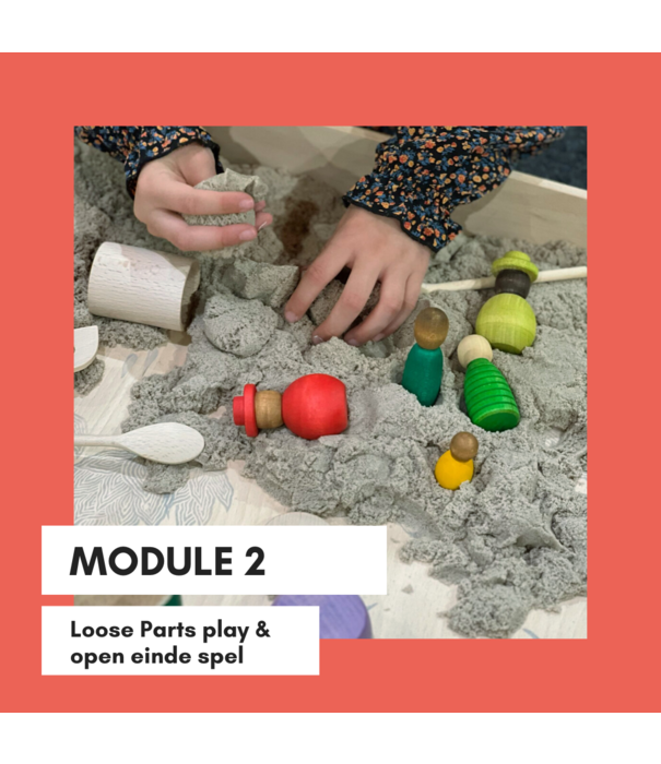 Playcademy Module 1 (Kracht van Spel) & Module 2 (Loose Parts Play & Open Einde Spel)