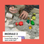Module 1 (Kracht van Spel) & Module 2 (Loose Parts Play & Open Einde Spel)
