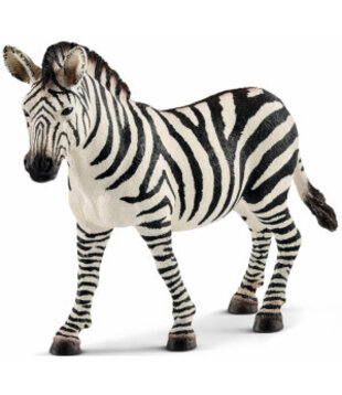 Zebra Jong (14811)