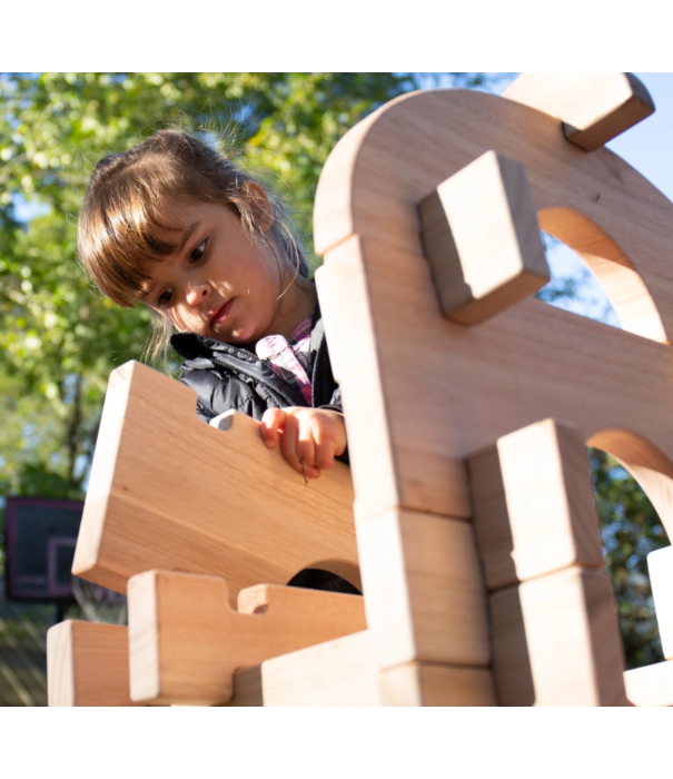 Guidecraft Guidecraft - Notch blokken (89-delig)