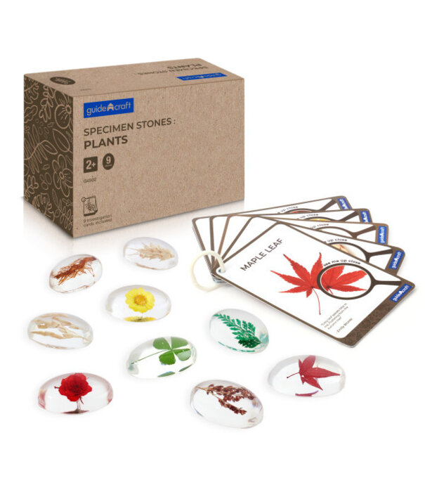 Guidecraft Guidecraft - Specimen Stenen - Planten