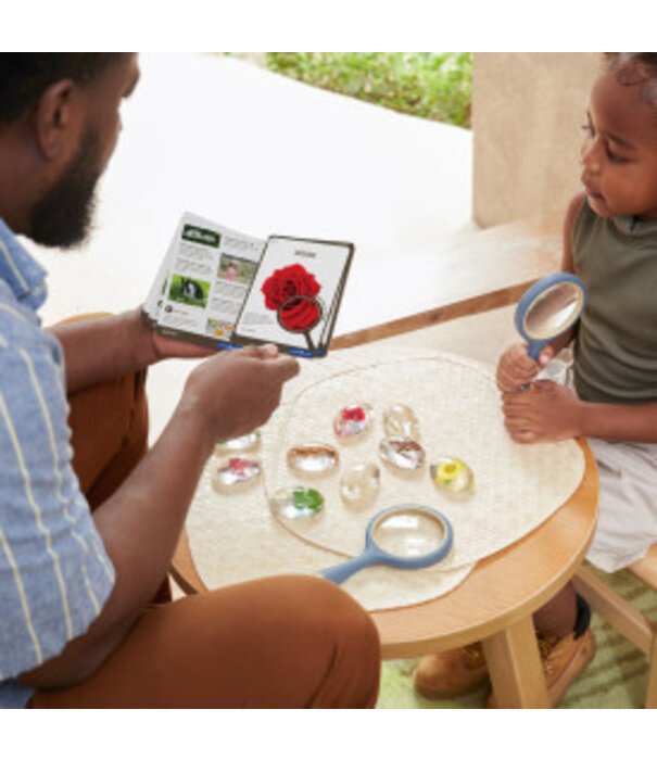 Guidecraft Guidecraft - Specimen Stenen - Planten