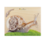 Jakobs Houten Puzzel - Slak (12-delig) | 2+