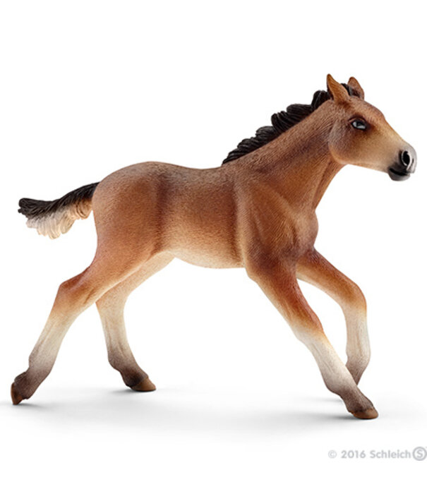 Schleich Schleich - Horse Club Mustang Veulen (13807)