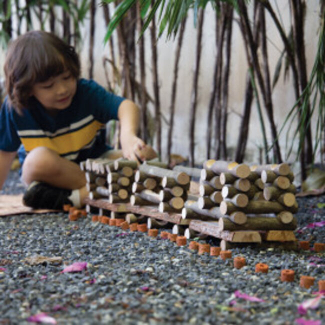 Guidecraft - Big Branch Block Builders  (125-delig) | 3+