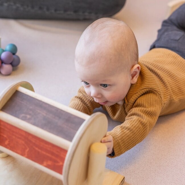 Tap In Toys - Sensorisch Draaiend Wiel