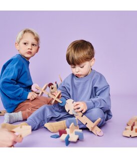 Bouwset Team (256-delig)