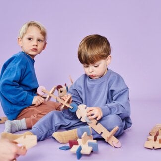 Bavvic Bouwset Team (256-delig)